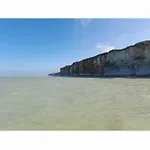Les Roses A La 沃勒莱罗斯