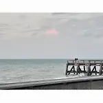 Les Roses A La Veules-les-Roses