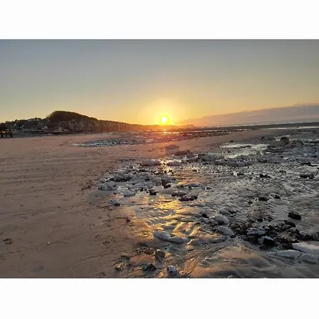 Les Roses A La Lägenhet