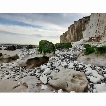 Les Roses A La Lägenhet *