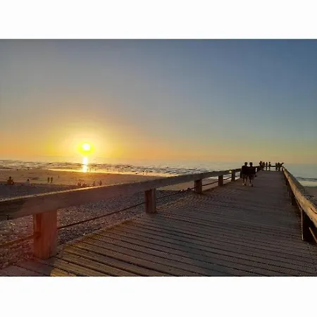 Les Roses A La Lägenhet