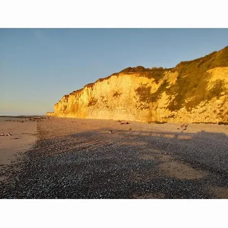 Les Roses A La Veules-les-Roses