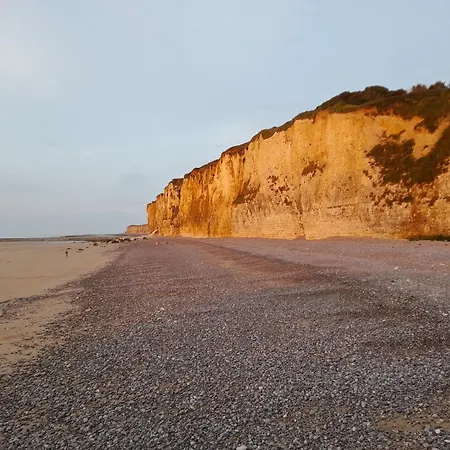 Les Roses A La Veules-les-Roses